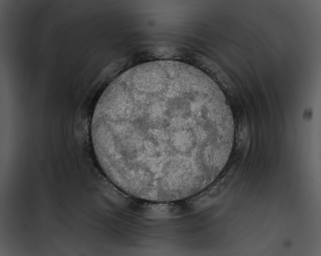X0000101160473200807181403