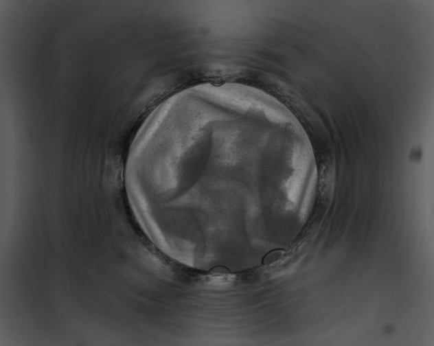 X0000101160474200807181403