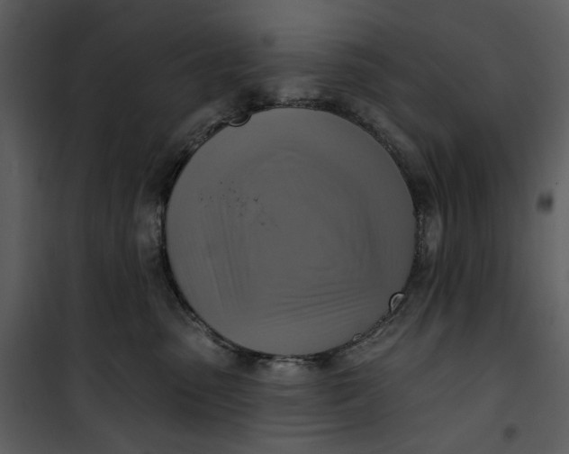 X0000101160475200807181403