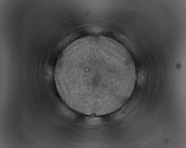 X0000101160476200807181403