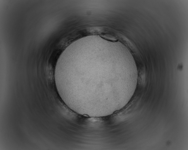 X0000101160477200807181403