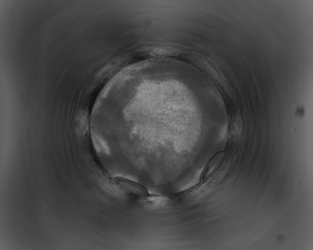 X0000101160478200807181403
