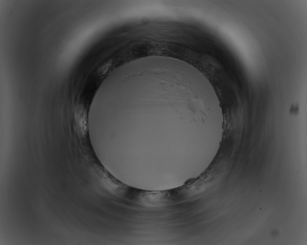 X0000101160479200807181403