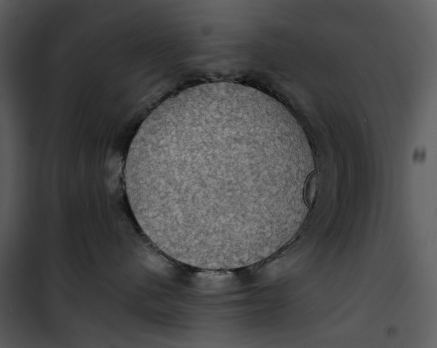 X0000101160480200807181403