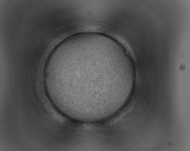X0000101160481200807181402