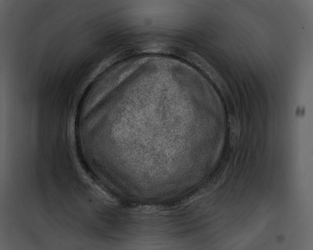 X0000101160482200807181402