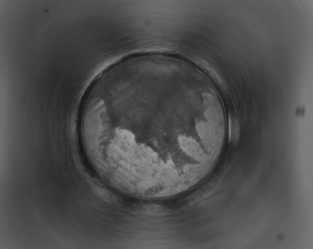 X0000101160483200807181402