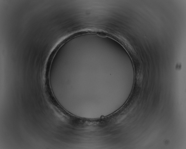 X0000101160484200807181402