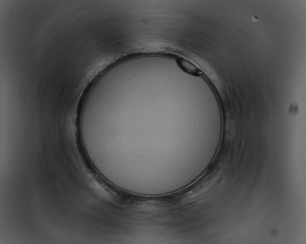 X0000101160485200807181402