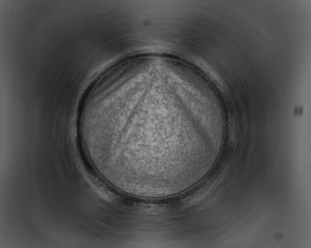 X0000101160486200807181402