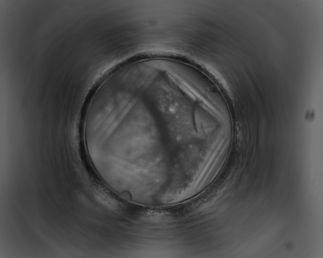 X0000101160487200807181402