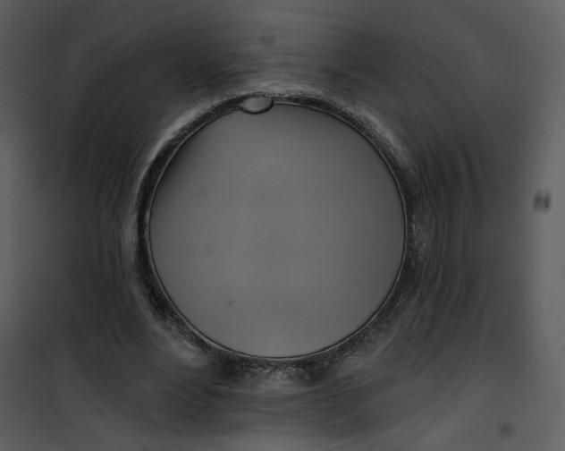X0000101160488200807181402