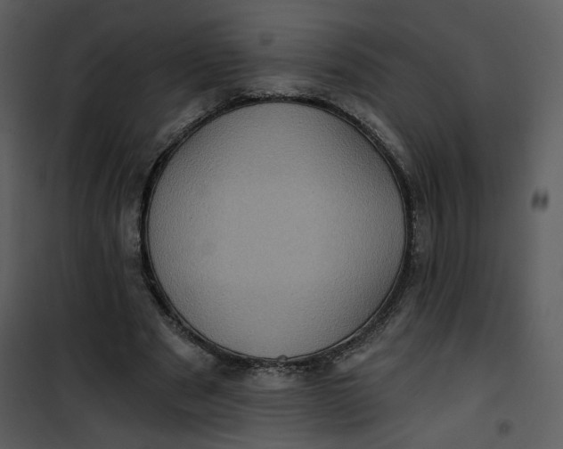 X0000101160489200807181402