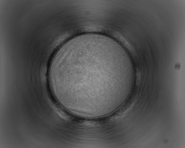 X0000101160490200807181402