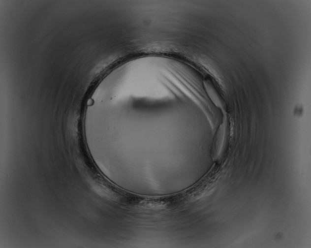 X0000101160491200807181402
