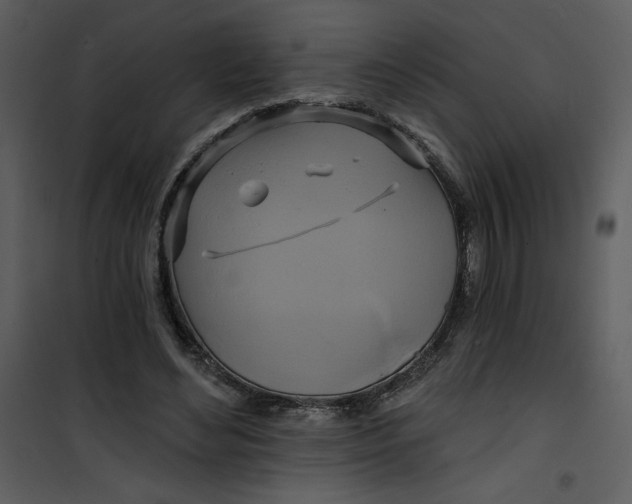 X0000101160492200807181402