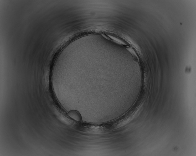 X0000101160493200807181402