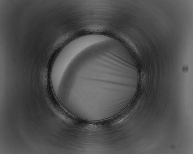X0000101160494200807181402