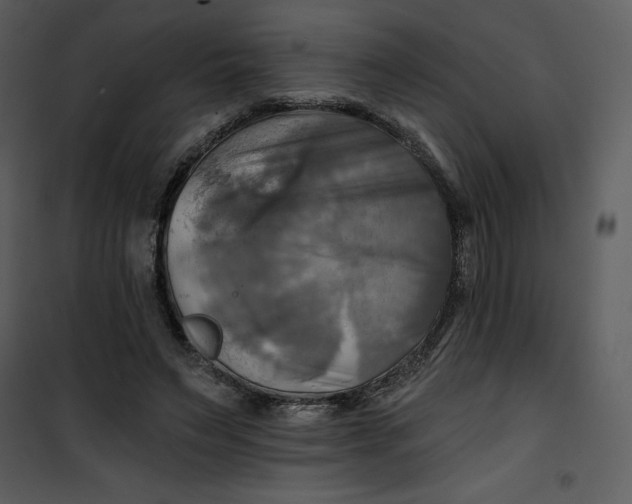X0000101160495200807181402