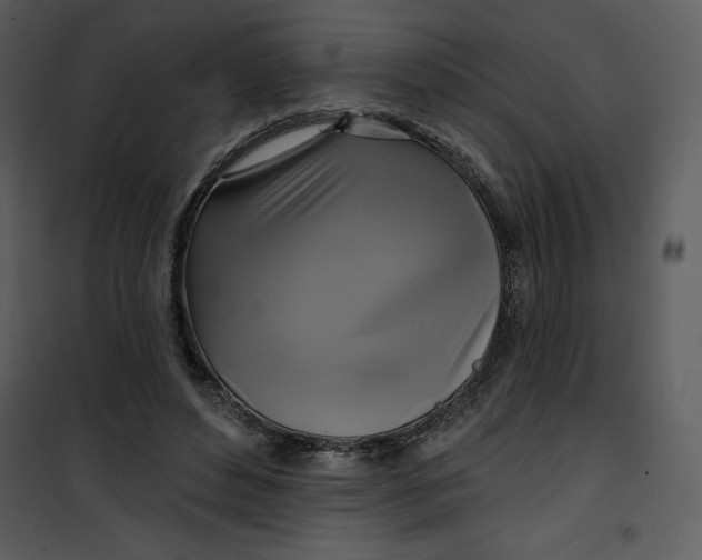 X0000101160496200807181402