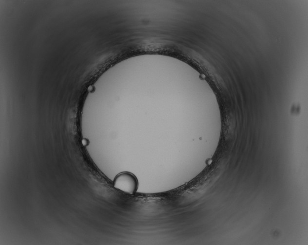 X0000101160497200807181402