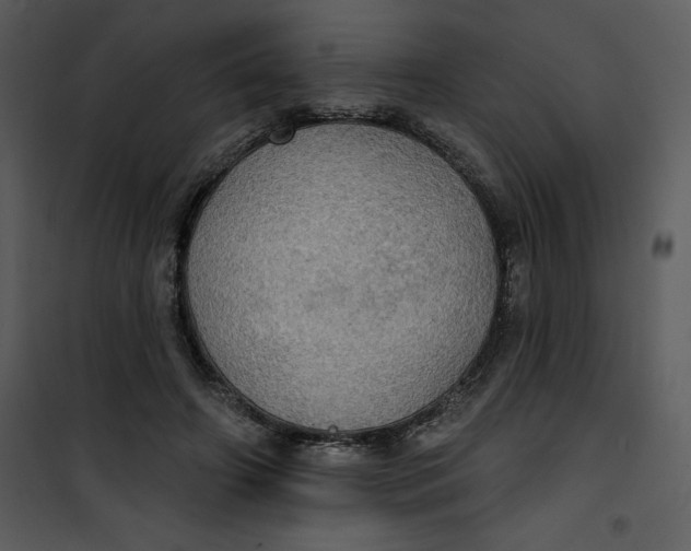 X0000101160498200807181402