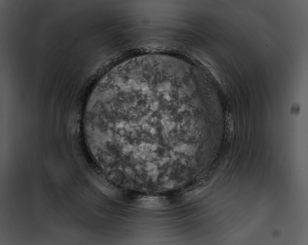 X0000101160499200807181402