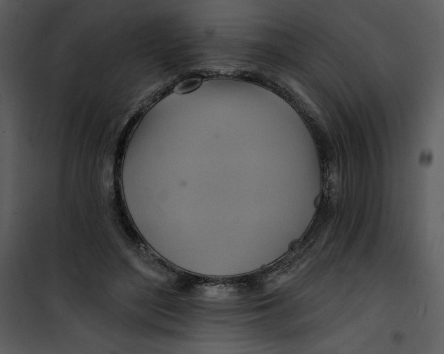 X0000101160500200807181402