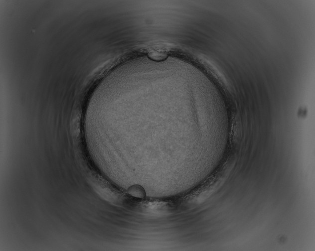 X0000101160501200807181402