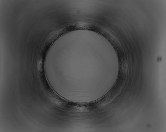 X0000101160502200807181402