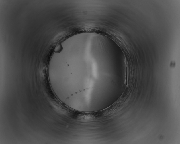 X0000101160503200807181402