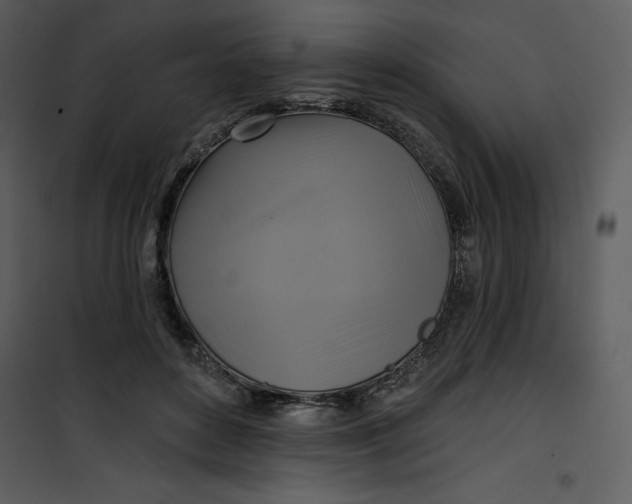 X0000101160504200807181402