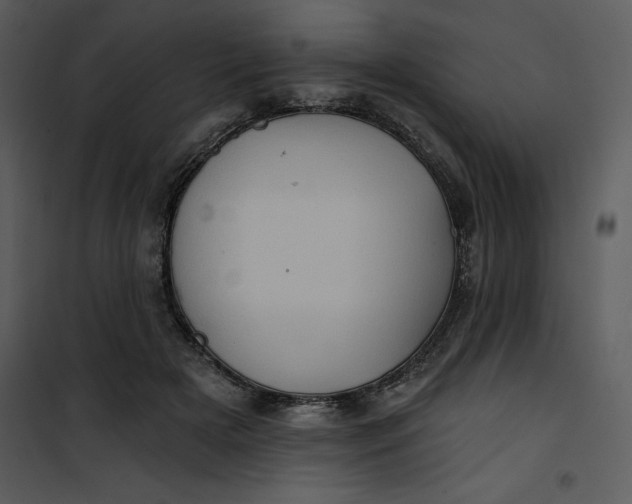 X0000101160505200807181402