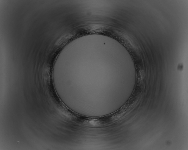 X0000101160506200807181402