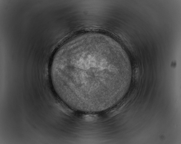X0000101160508200807181402