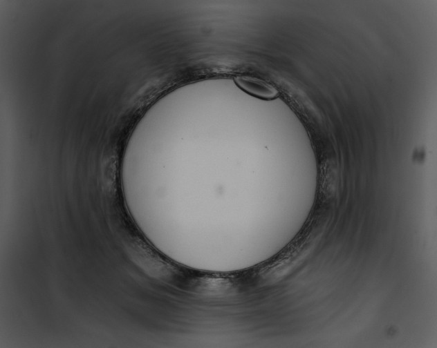X0000101160509200807181402