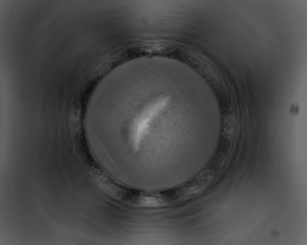 X0000101160510200807181402