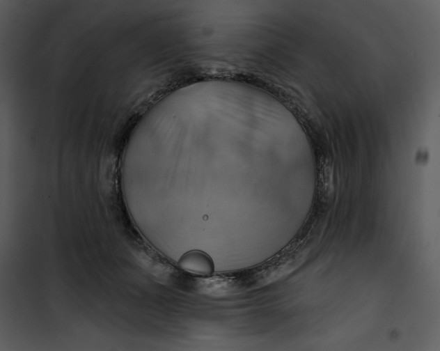 X0000101160511200807181402