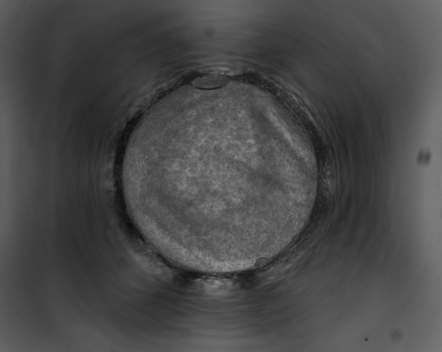 X0000101160512200807181402
