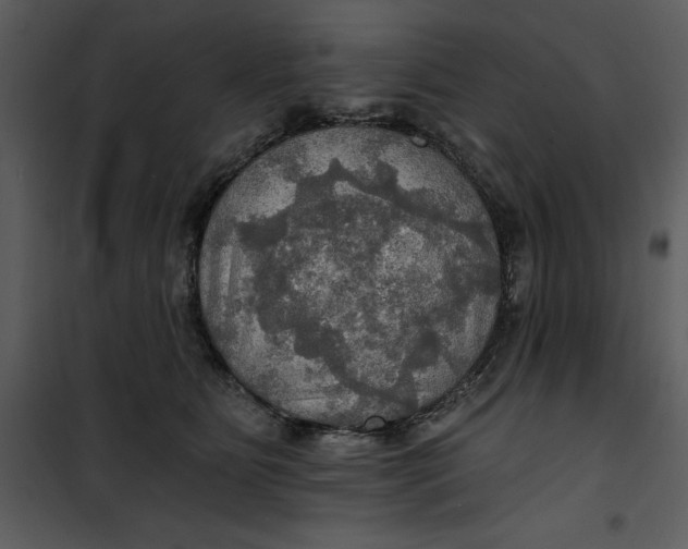 X0000101160515200807181402