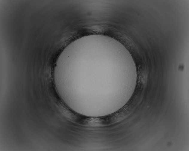 X0000101160518200807181402