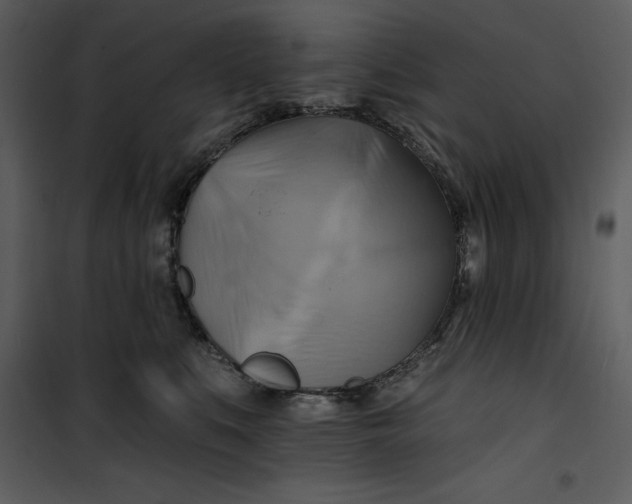 X0000101160519200807181402