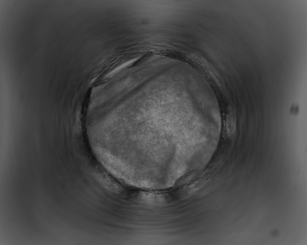 X0000101160520200807181402