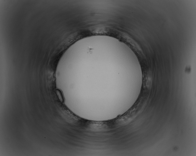 X0000101160521200807181402