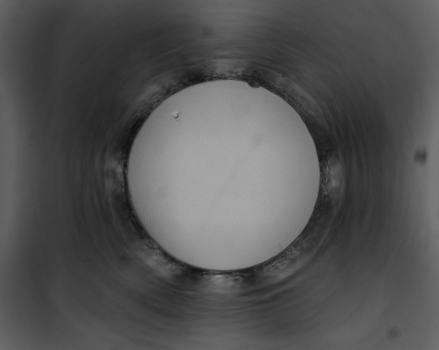 X0000101160522200807181402