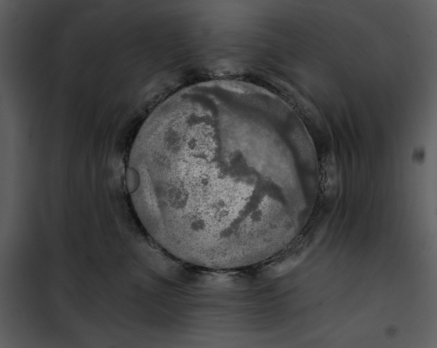 X0000101160523200807181402