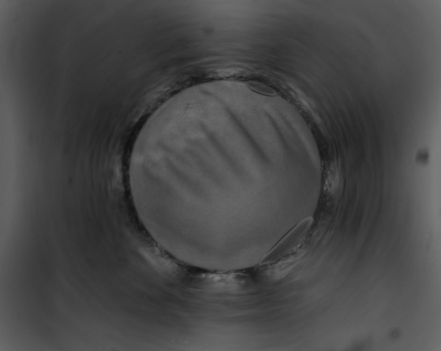 X0000101160524200807181402