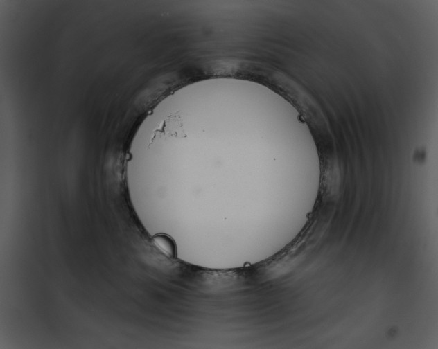 X0000101160525200807181402