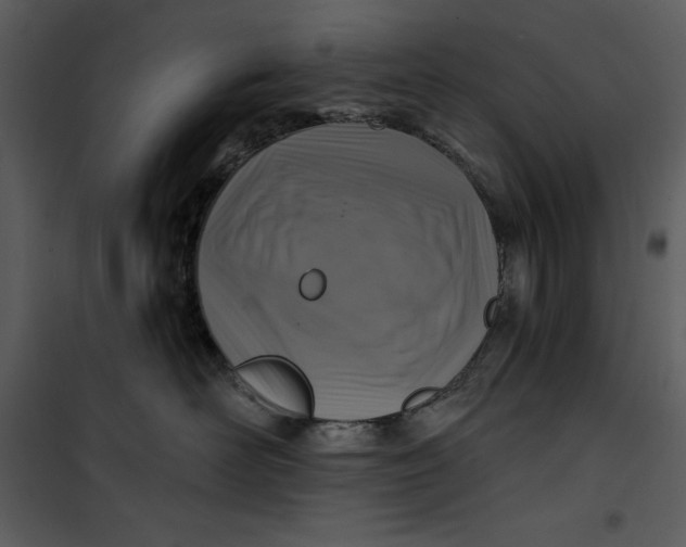 X0000101160526200807181402