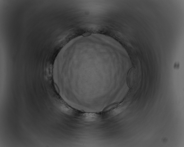 X0000101160528200807181402